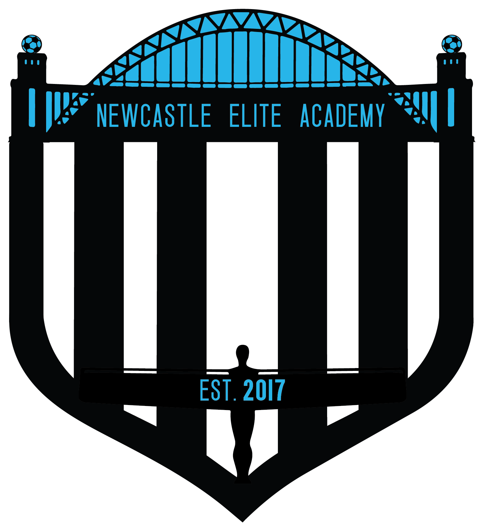 Newcastle Elite Academy